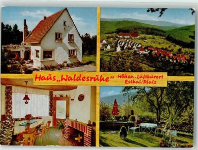 39565143 - 6731 Esthal pension house forest rest photo Metz
