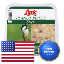 Lyric Peanut Pieces High Energy Suet Cakes For Wild Birds 12 Oz. 12 Pack 2546837