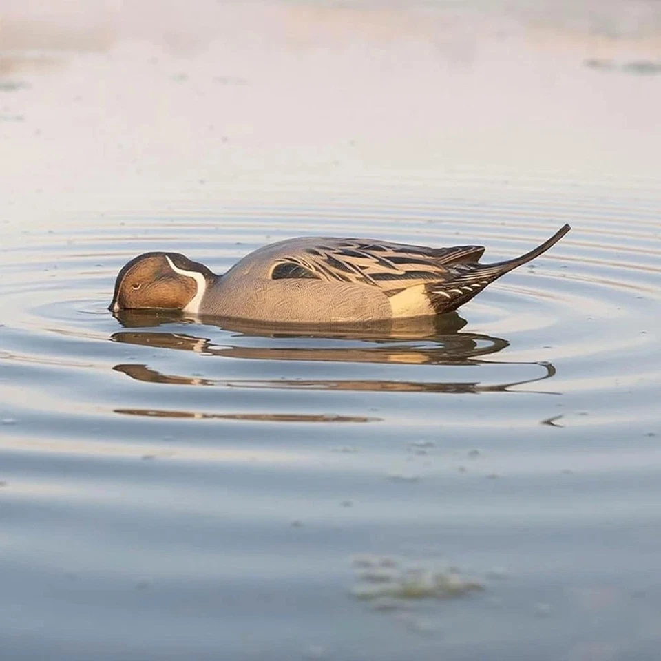 Avian-X Power Shaker Pintail Surface Feeder Floating Duck Decoy - Durable Foa... - Image 4 of 4