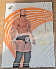 Big Bill 2025 Upper Deck AEW SP Signature Orange # 9 (#d 27/75)