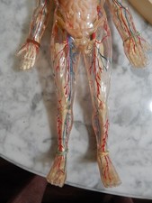 renwal model products for sale | eBay