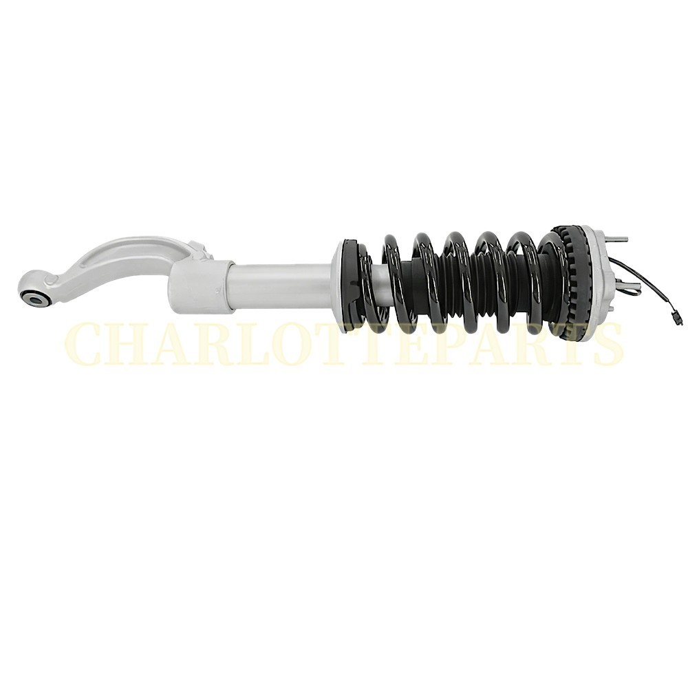 Maserati Quattroporte S Q4 2014-2020 Front Left, right Struts Pair P/N 670030332