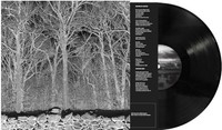 Pile - Sunshine And Balance Beams - Vinyl Record Vl - G3Z