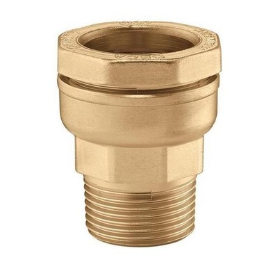 Caleffi CA Anschlussverschraubung AG 50 mm x 1 1/2Zoll AG für