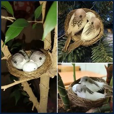 Realistic Feathered Birds with Nest  Birds Egg Artificial Craft Birds for