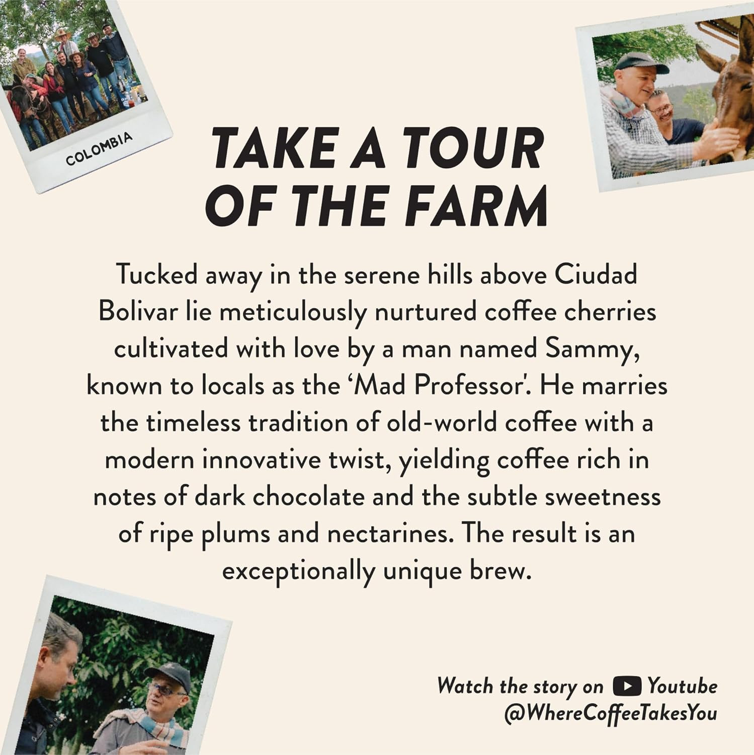 Angelino's Coffee Mad Professor Coffee Pods - Major Colombian Blend, Medium to D