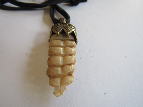 Rattlesnake Rattle Pendant Snake Necklace Animal Bone Jewelry Boho N4536 - Picture 7 of 7