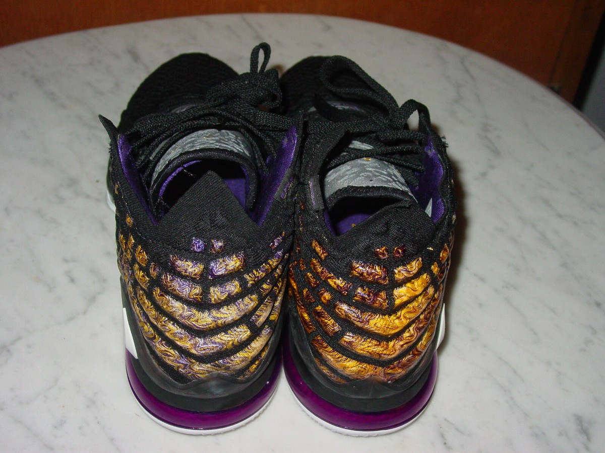 2019 Nike Lebron 17 
