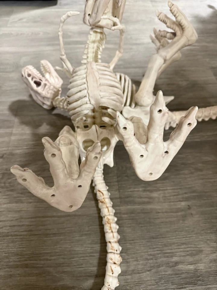 Set Of 2 Crazy Bonez T-Rex Skeleton Figure Dinosaur Bones Decor / Toy - Image 4 of 4