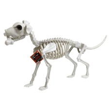 11.5" Dog Skeleton Bone Animal Scary Halloween Decoration Costume Graveyard Prop
