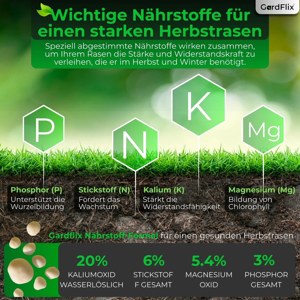 Herbstrasendünger Langzeitwirkung für Winterfesten Rasen |  2,5kg 5kg 10kg 20kg - Bild 4 von 4