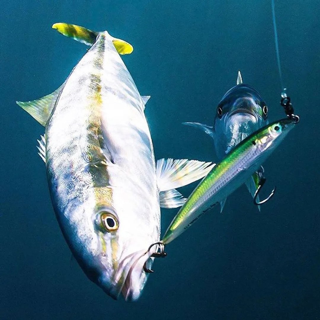 Leurre Rapala X-Rap Long Cast SXRL 12 – Red Head UV – Pêche En Mer