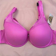 Curvy Couture Flirt Push-Up Bra 42C Pink Mesh Sheer Style 1310 NWT Sexy Support
