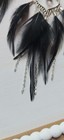 Bild 8 von 10