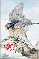 Japanese Sparrowhawk Tile Mural Kitchen Bathroom Backsplash Marble Ceramic