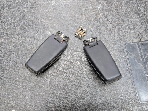 1983-1994 Chevy S10 Blazer GMC Jimmy Rear Hatch Back Glass Flush Hinge Pair OEM