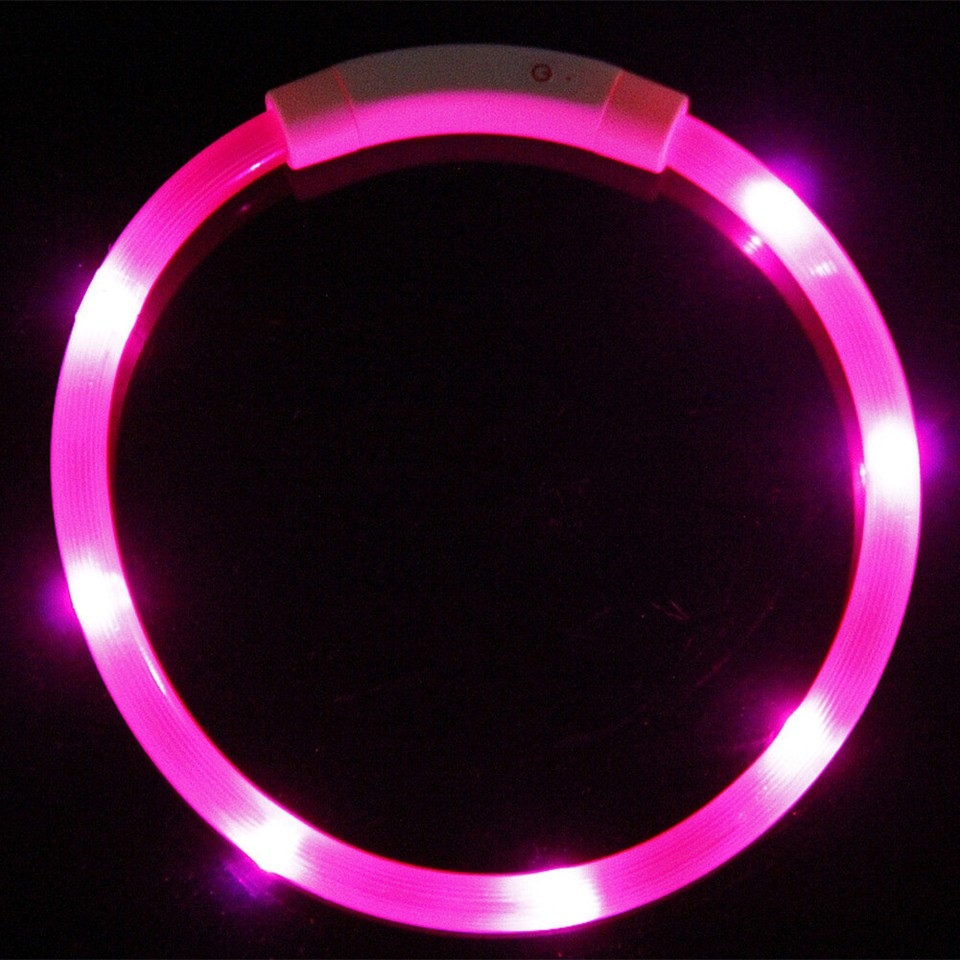 LED Dog Collar Light Up Dog Collars USB Rechargeable Glowing LED Dog