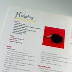 Bild 10 von 14