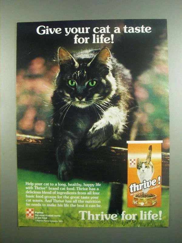 1984 Purina Thrive Cat Food Ad A Taste for Life eBay