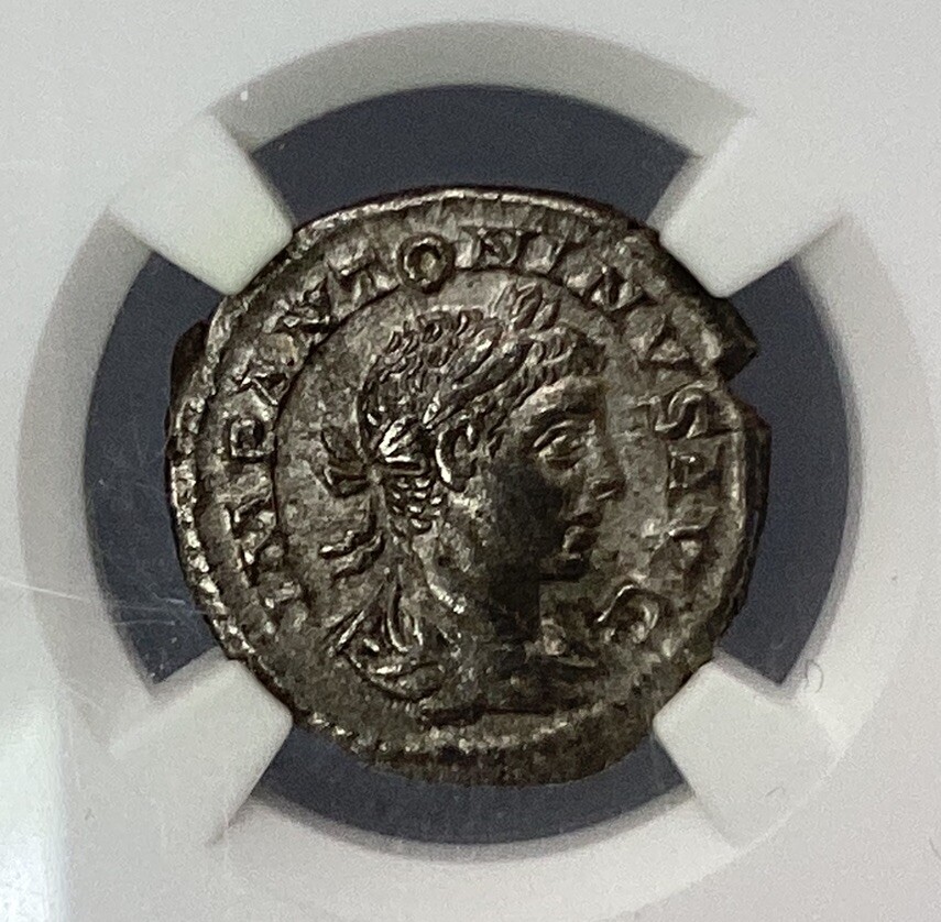 Picture 3 of 6