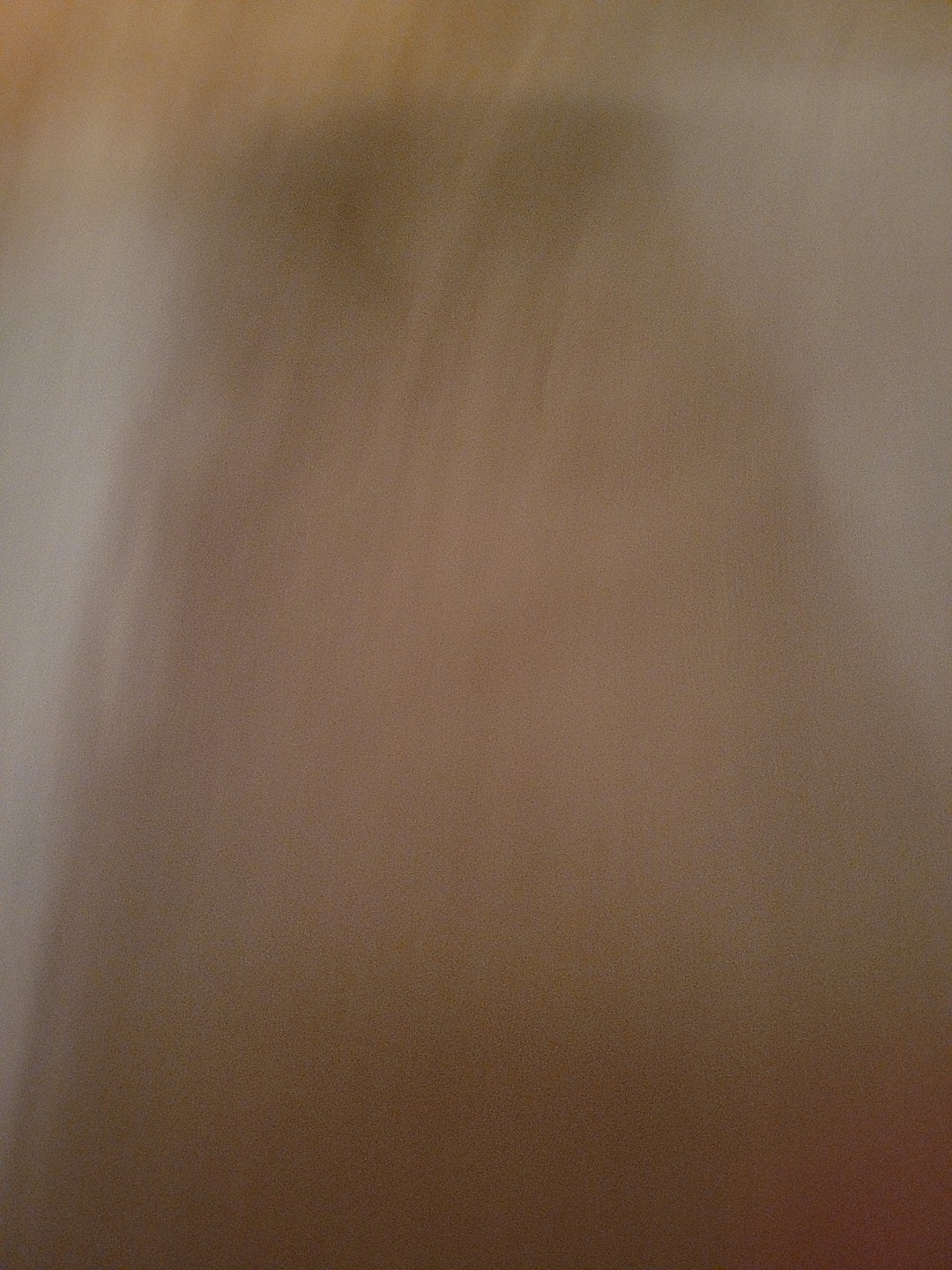 Bild 4 von 5