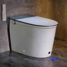 Luxury Smart Bidet Toilet with Auto Open/Close  Heated Seat Features