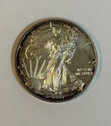 2021 American Silver Eagle 1 Troy Oz .999 Fine Silver Toned