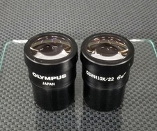 Olympus Eyepiece Pair GSWH10X/22  *Glass Immaculate*