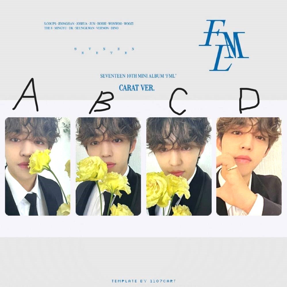 S.COUPS SEVENTEEN - FML - CARAT ver. Official Photo card SVT