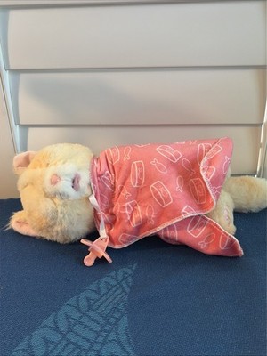 Little Live Pets Cat Plush Cozy Dozys Ginger Kitty Pacifier Works! Kitten