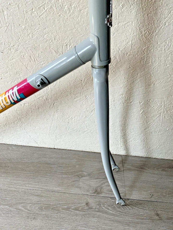 MARCO Y HORQUILLA RALEIGH TECHNIUM TUBO ALUMINIO 57 CM 3,5 KGS. ESPACIO TRASERO 126 MM Foto 4 de 4