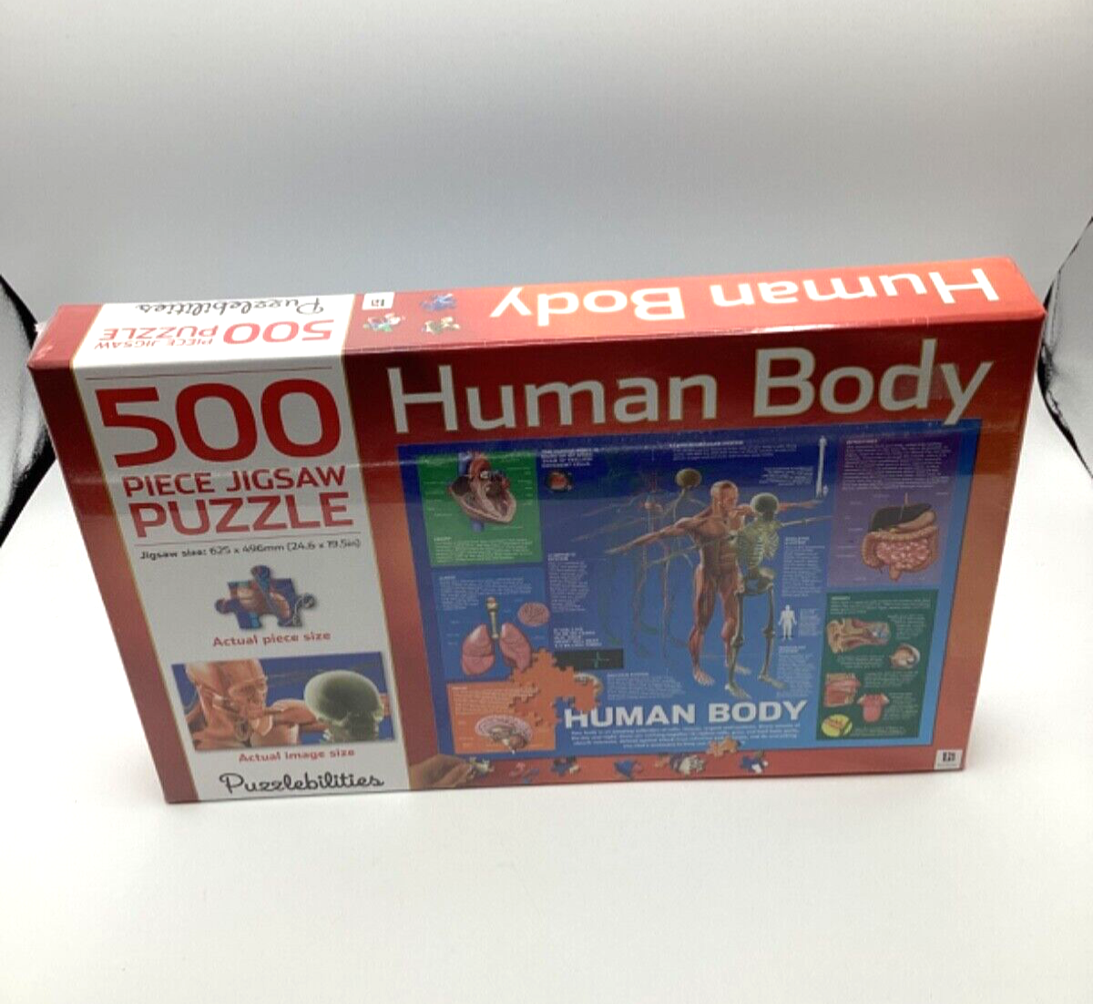 Puzzlebilities Human Body 500 Piece Jigsaw Puzzle New Sealed