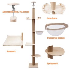 Cat Playing Tree W/ Clear Space Capsule Cat Scratching Post Cat Climbing Tower