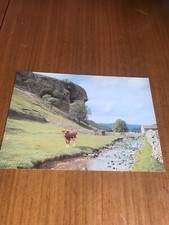 KILNSEY CRAG  WHARFEDALE YORKSHIRE POSTCARD. 1980/90s 