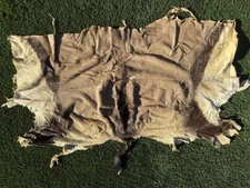 African Antelope Back Half Hide (Rump + Tail) – Tanned Hair-On Craft Leather 