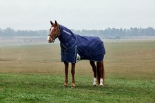 Weatherbeeta Comfitec Plus Dynamic 100G Horse Turnout Rug, Detach-A-Neck,