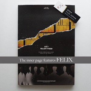 Stray Kids Cle 2 Yellow Wood Limited Edition for sale | eBay