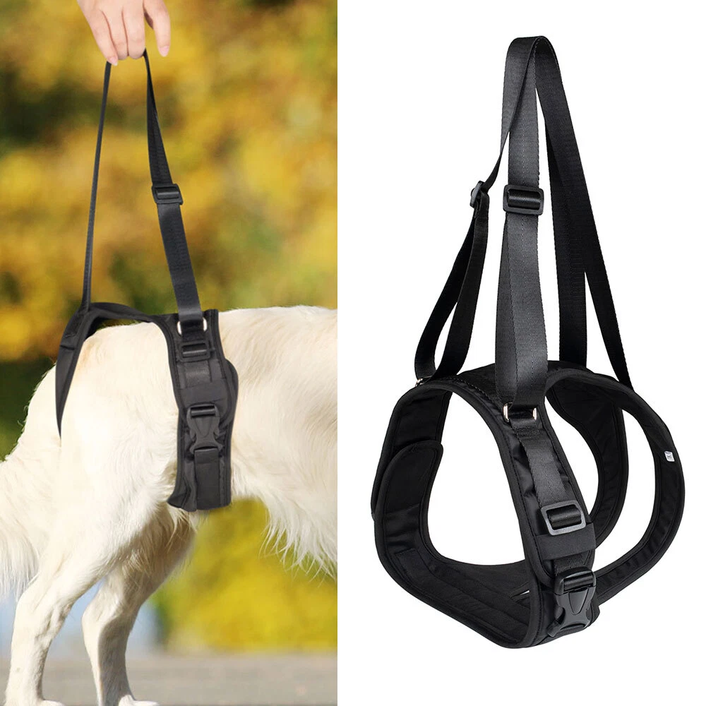 Dog harness hot sale with leg straps