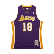 Los Angeles Lakers Sasha Vujacic Mitchell & Ness Purple 2009/10 Swingman Jersey