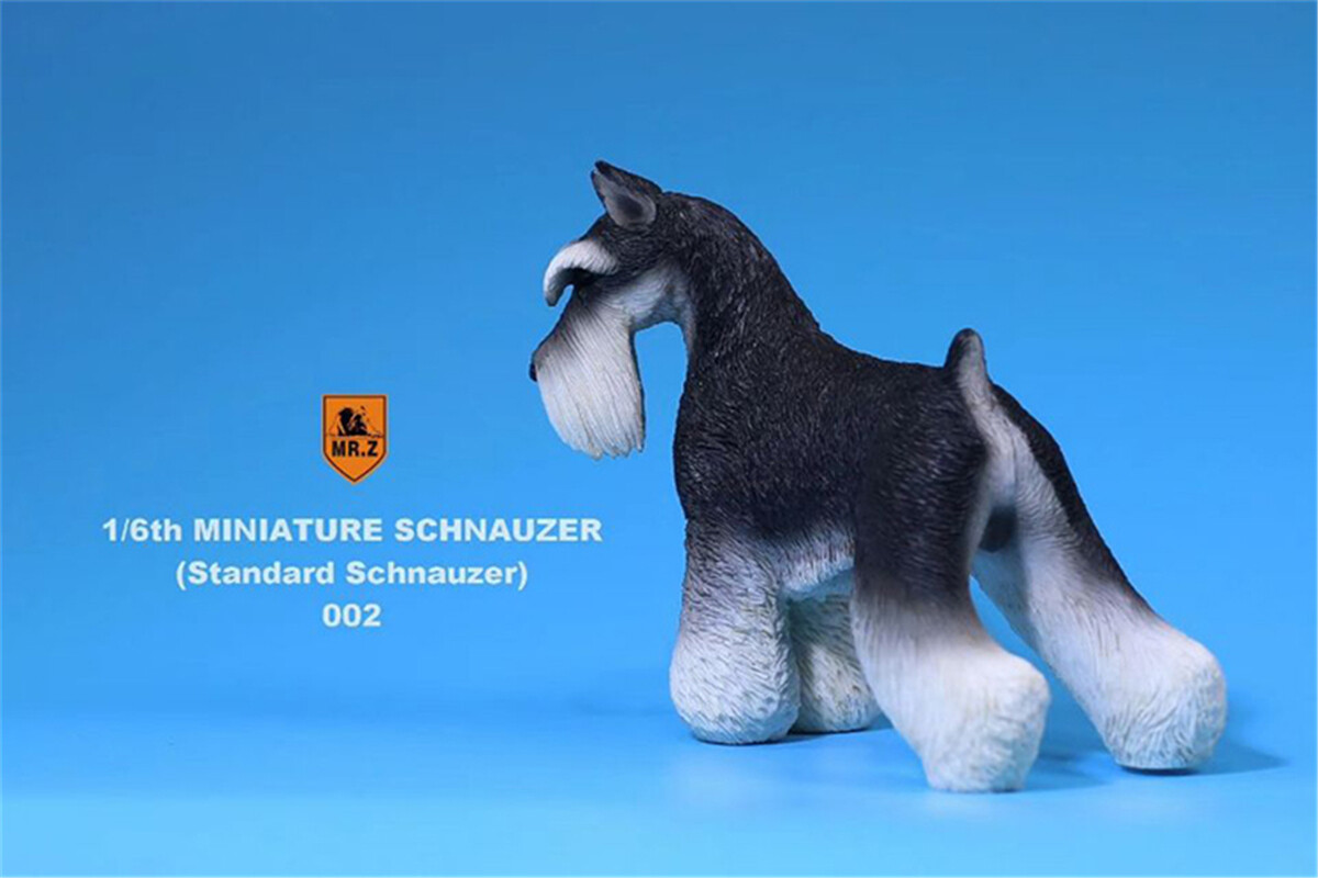 Mr.Z 1/6 Standard Schnauzer Dog Pet Figure Animal Toys Collector