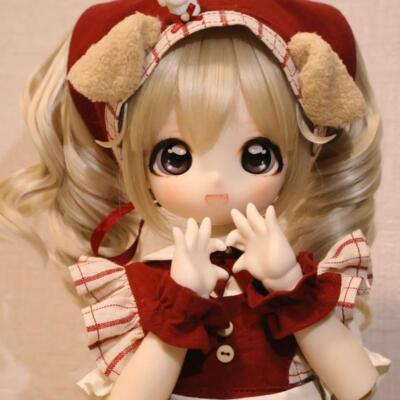 Hand-Drawn Face Makeup Eyes 1/4 Full Set BJD Doll MMD XMAS Gifts w/ Clothes Wigs
