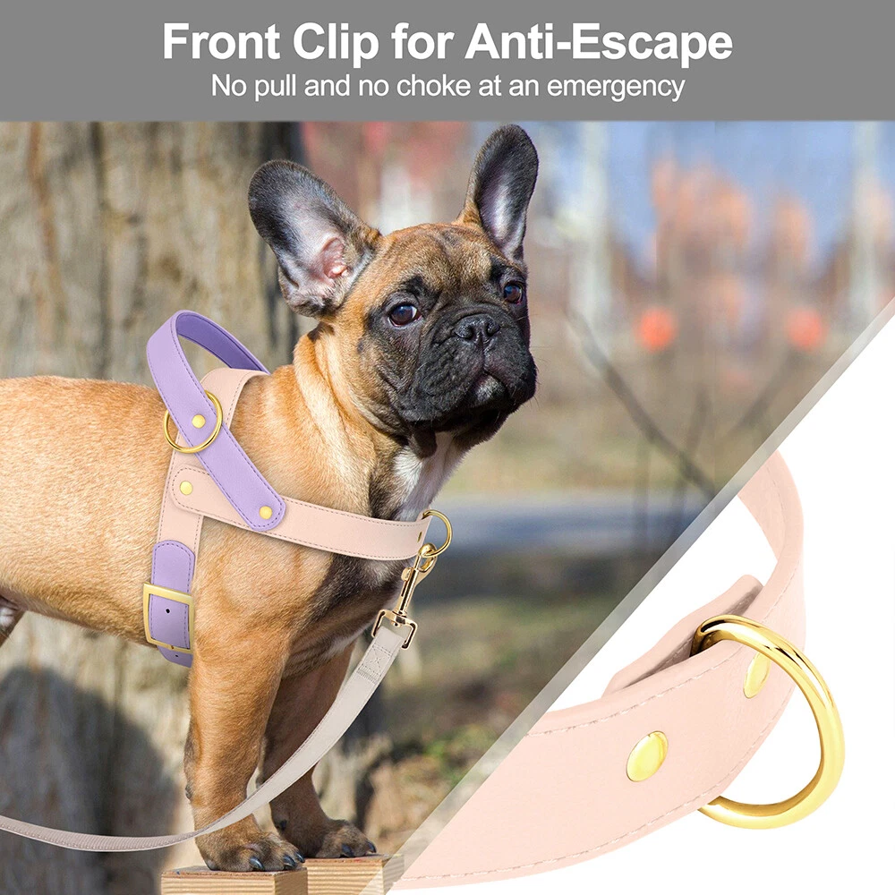 Dog Harness Soft Leather with Handle for Pet Walking Adjustable Front Leading