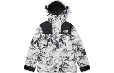 The North Face 1990 Series High-End Gore-Tex Limited Edition Snow Mountain