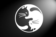 Ying Yang Cats Peace CNC cut Decal Vinyl Sticker Pic multiple colors O651
