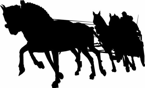 MORSO LIVERPOOL DRITTO PER CAVALLO MORSO LIVERPOOL DRITTO PER CAVALLO