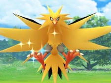 - Zapdos lucido - PTC - 80k polvere di stelle - descrizione
