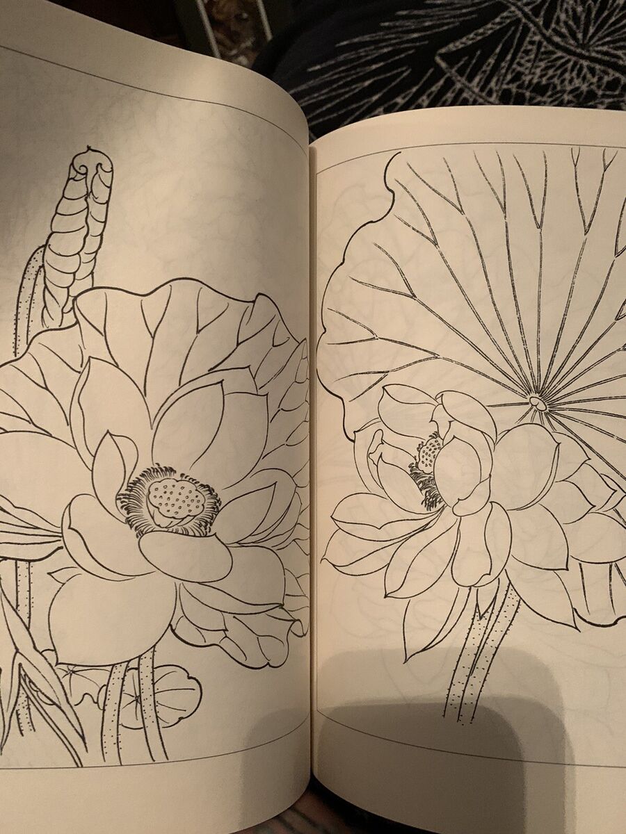 Flower Outline Book Flowers Peony Iris Mums Japanese Tattoo Art Reference Book