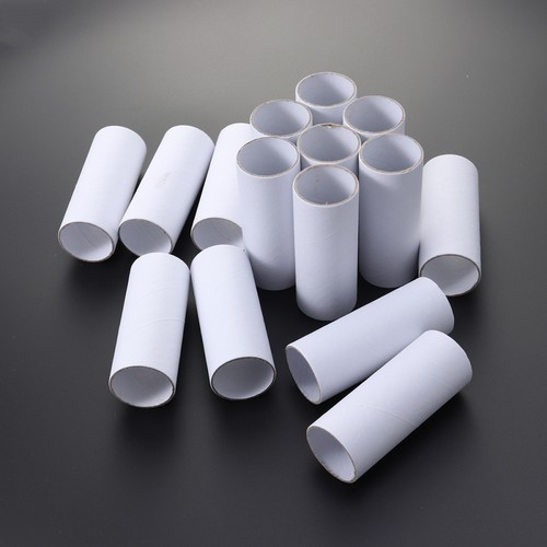 15 PCS Craft Rolls Creative Fun DIY Cardboard Tubes (White) cardboard tube
