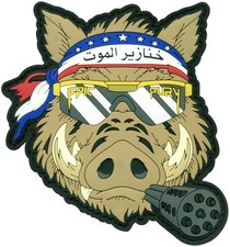 USAF 190th eXPEDITIONARY FIGHTER SQUADRON EPIC FURY 2026 PATCH