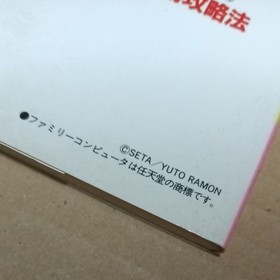 Silva Saga Guaranteed Victory Strategy Famicom Strategy Guide